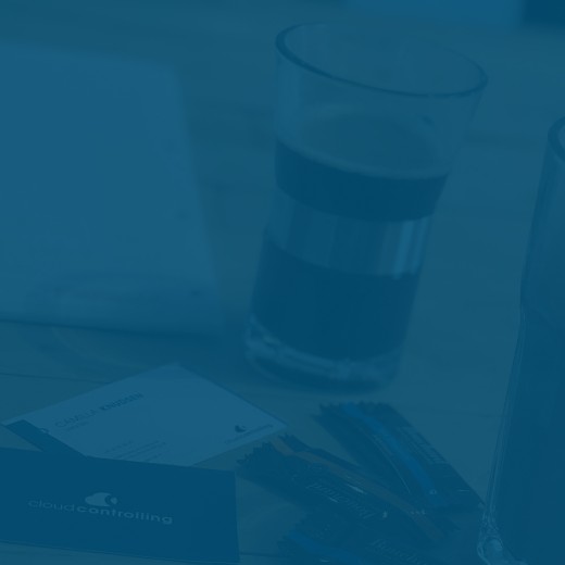 Rådgivning og opstart (erhverv)